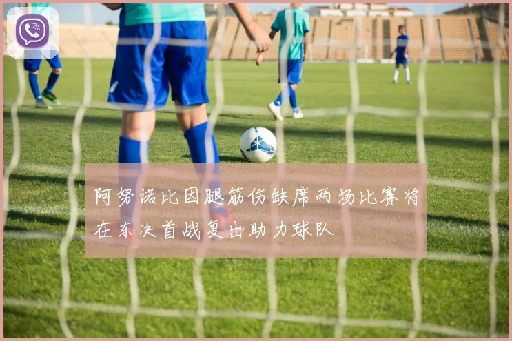 阿努诺比因腿筋伤缺席两场比赛将在东决首战复出助力球队