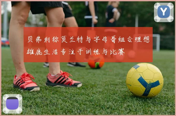 贝弗利称莫兰特与字母哥组合理想雄鹿生活专注于训练与比赛
